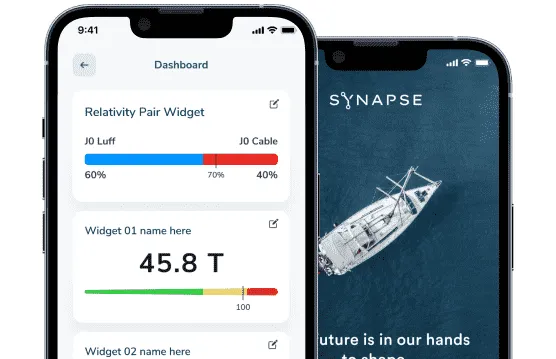 Synapse project preview