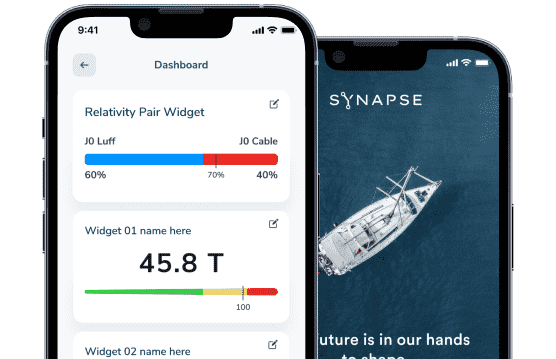 Synapse project preview